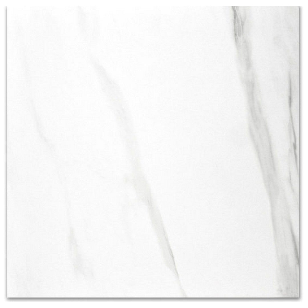 Qualis Ceramica 24" x 24" Ardor Rectified Polished Porcelain Tile