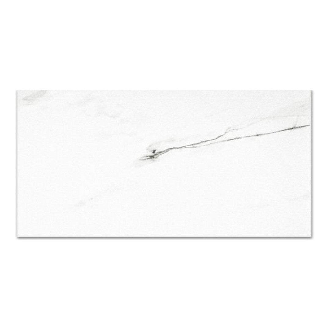 Qualis Ceramica 16" x 32" Ardor Rectified Matte Porcelain Tile