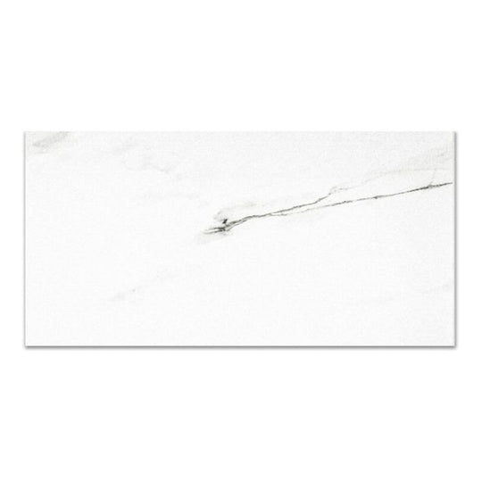 Qualis Ceramica 16" x 32" Ardor Rectified Matte Porcelain Tile
