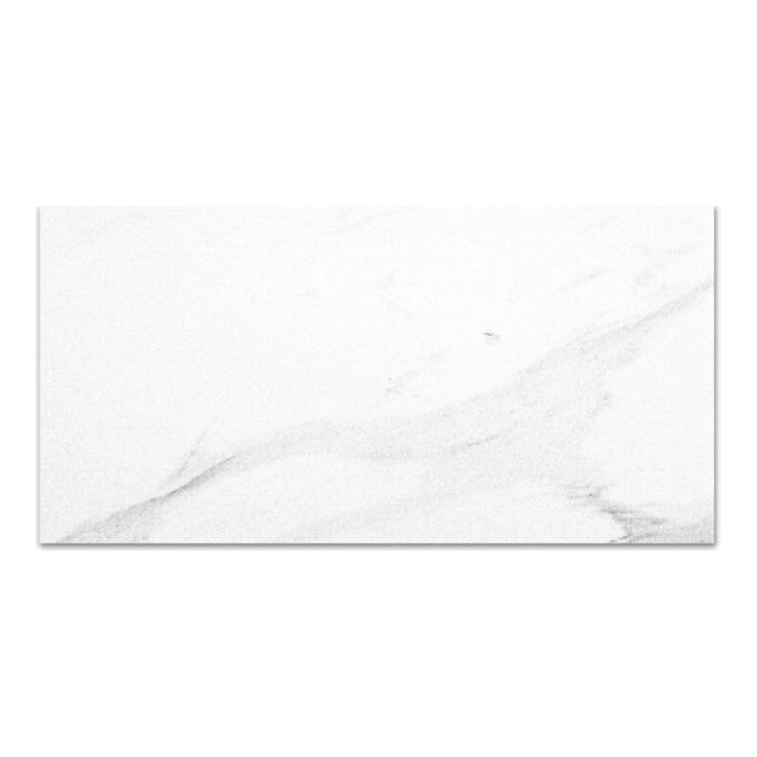 Qualis Ceramica 16" x 32" Ardor Rectified Polished Porcelain Tile