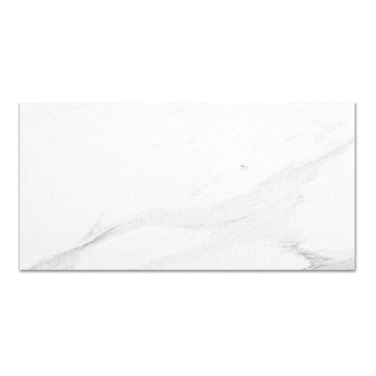 Qualis Ceramica 16" x 32" Ardor Rectified Polished Porcelain Tile