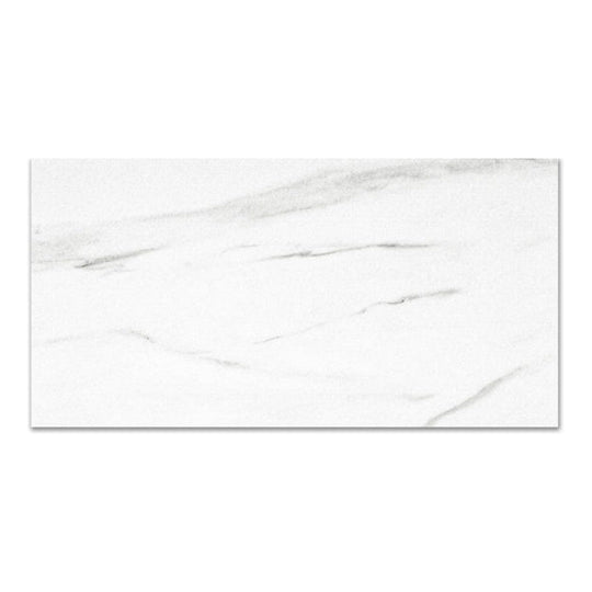 Qualis Ceramica 24" x 48" Ardor Rectified Polished Porcelain Tile