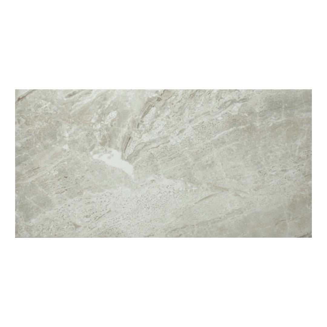 Qualis Ceramica 12" x 24" Ardor Rectified Polished Porcelain Tile