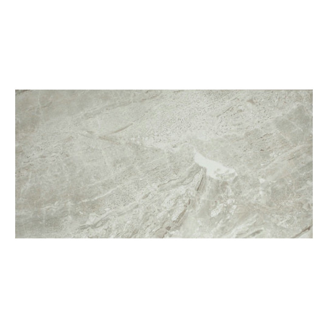 Qualis Ceramica 16" x 32" Ardor Rectified Polished Porcelain Tile
