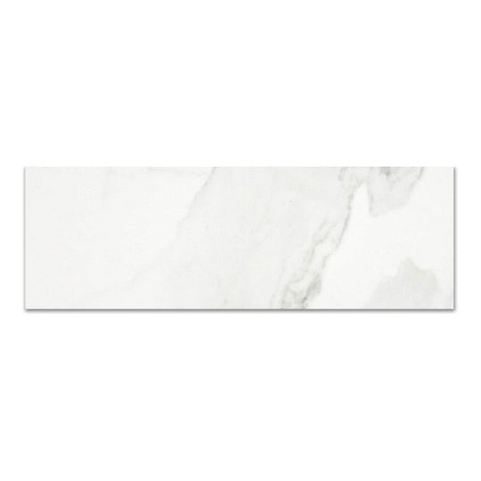Qualis Ceramica 4" x 12" Ardor Rectified Polished Porcelain Tile