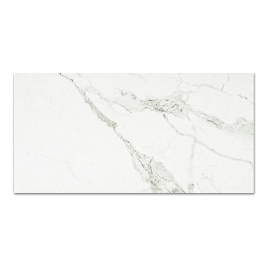 Qualis Ceramica 12" x 24" Ardor Rectified Matte Porcelain Tile