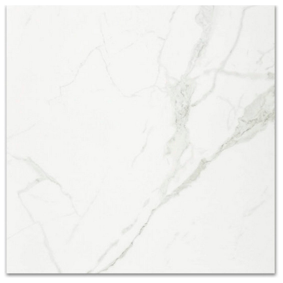 Qualis Ceramica 24" x 24" Ardor Rectified Polished Porcelain Tile