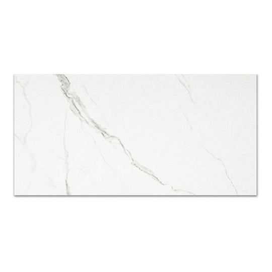 Qualis Ceramica 16" x 32" Ardor Rectified Matte Porcelain Tile