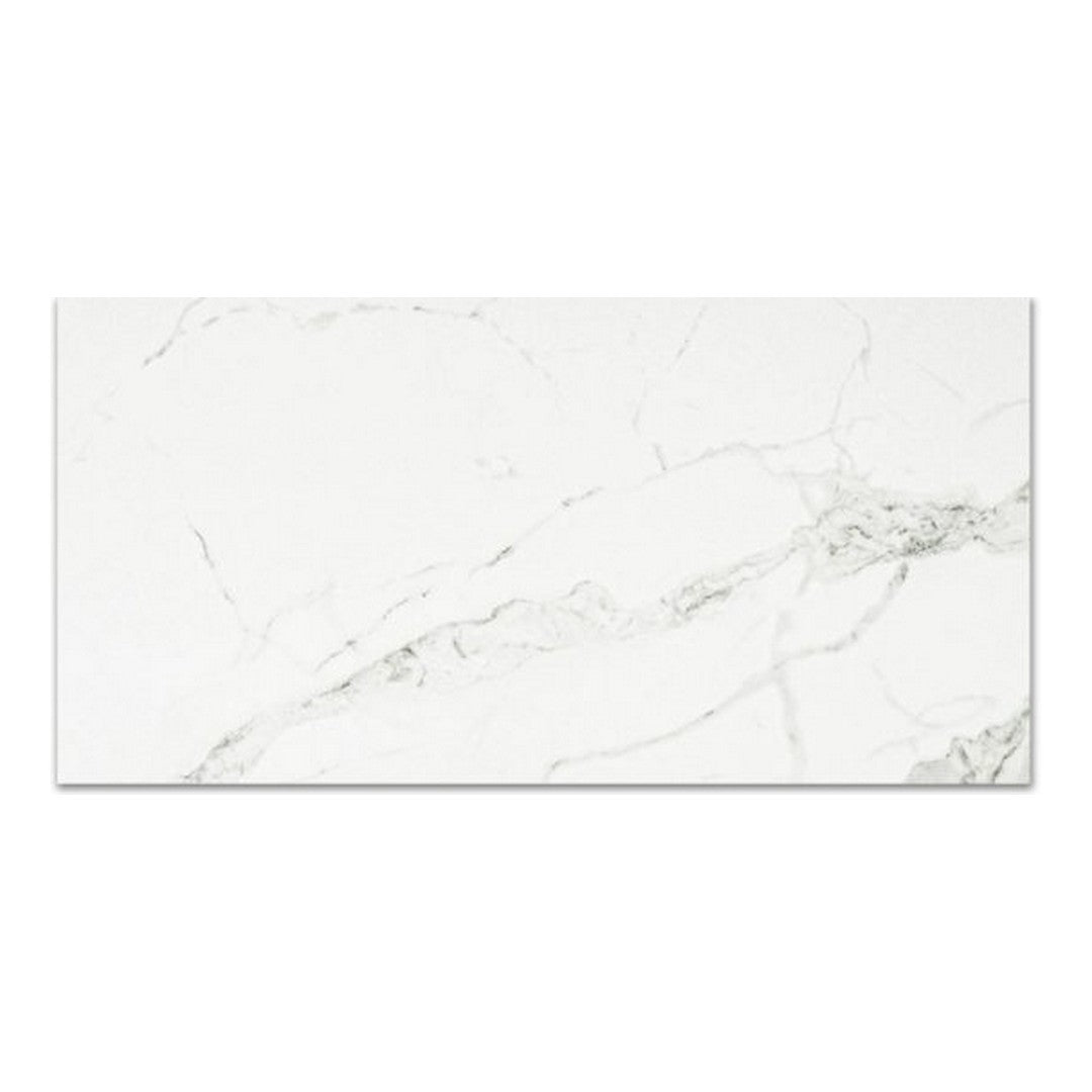 Qualis Ceramica 16" x 32" Ardor Rectified Polished Porcelain Tile