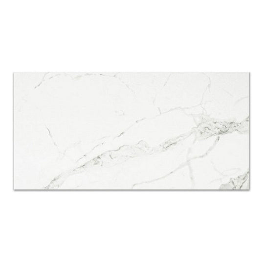 Qualis Ceramica 16" x 32" Ardor Rectified Polished Porcelain Tile