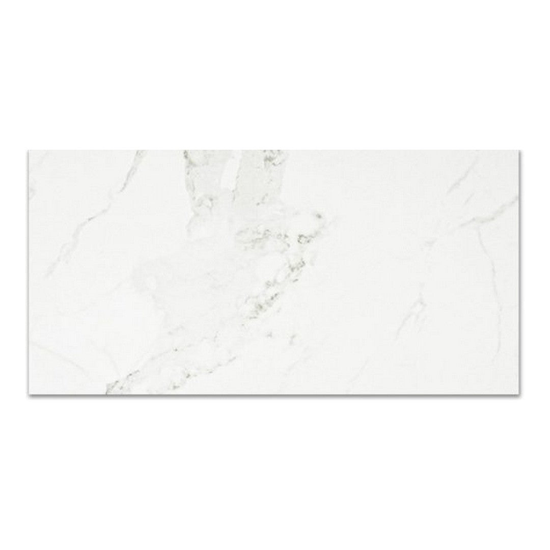 Qualis Ceramica 24" x 48" Ardor Rectified Polished Porcelain Tile