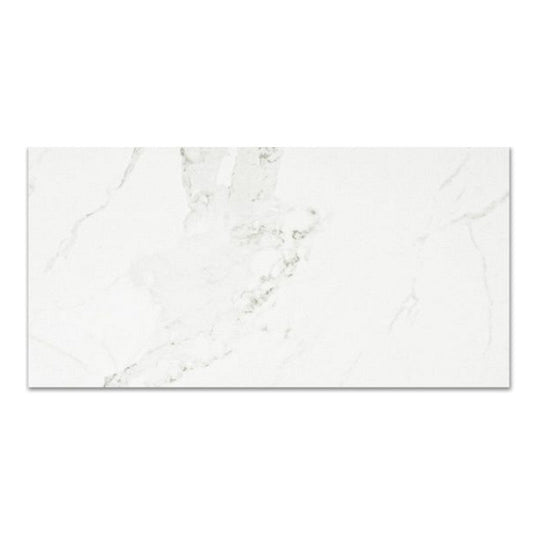 Qualis Ceramica 24" x 48" Ardor Rectified Polished Porcelain Tile