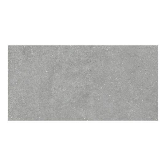 Qualis Ceramica 12" x 24" Ashland Rectified Matte Porcelain Tile
