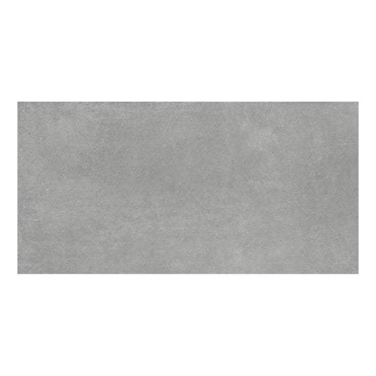 Qualis Ceramica 24" x 48" Ashland Rectified Matte Porcelain Tile