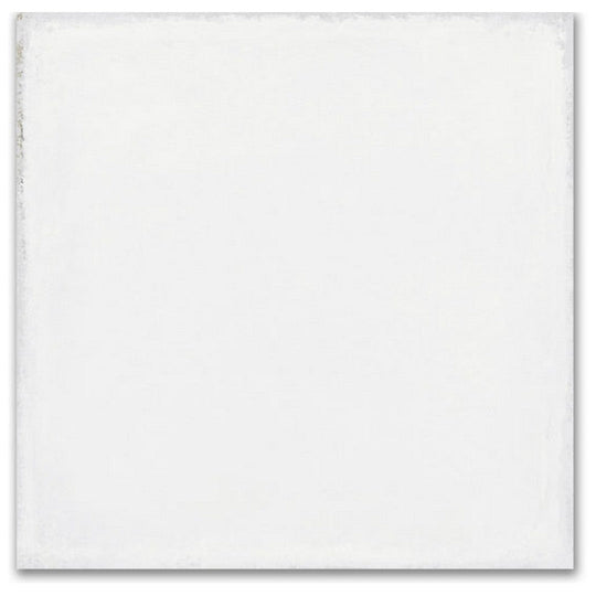 Qualis Ceramica 8" x 8" Charleston Matte Porcelain Tile