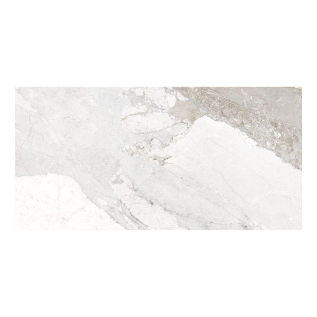 Qualis Ceramica 12" x 24" Dynasty Rectified Matte Porcelain Tile