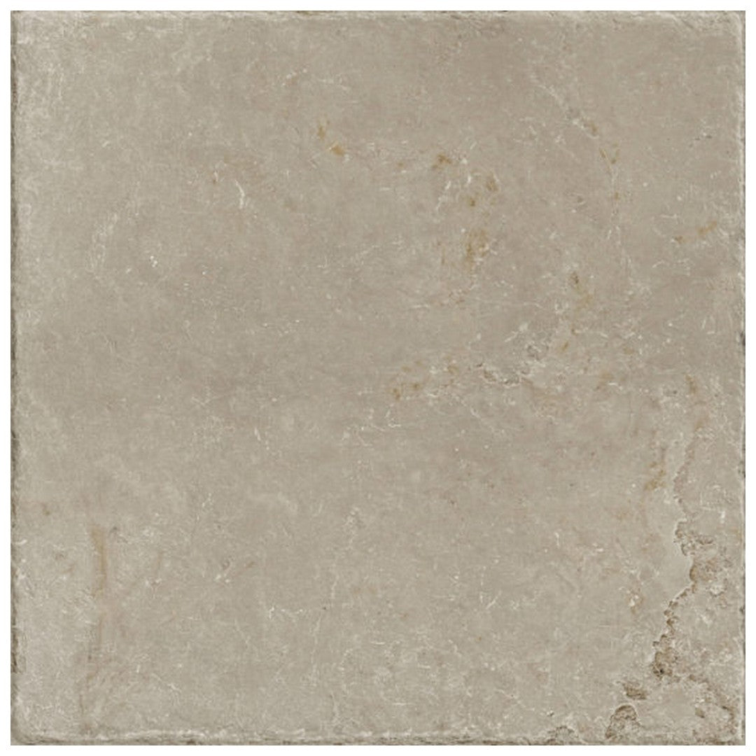 Qualis Ceramica 24" x 24" Elevation Rectified Natural Porcelain Tile