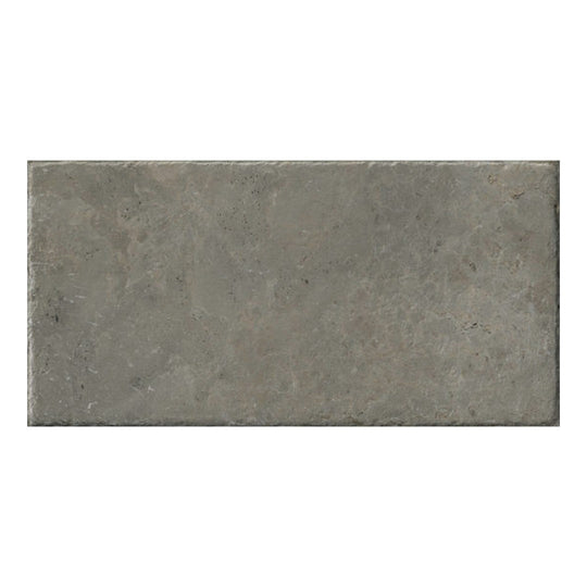 Qualis Ceramica 12" x 24" Elevation Rectified Natural Porcelain Tile