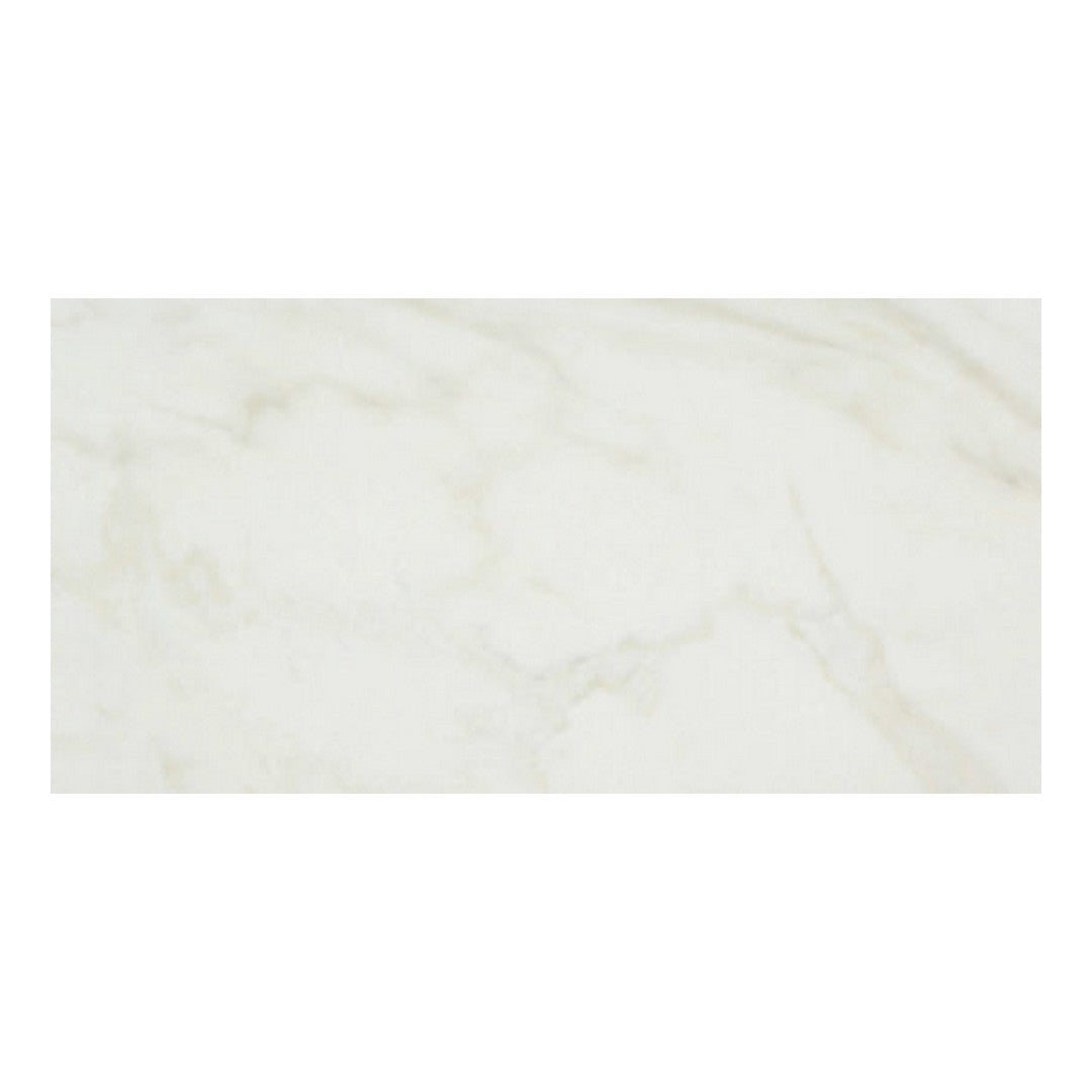 Qualis Ceramica 12" x 24" Luxury Rectified Polished Porcelain Tile