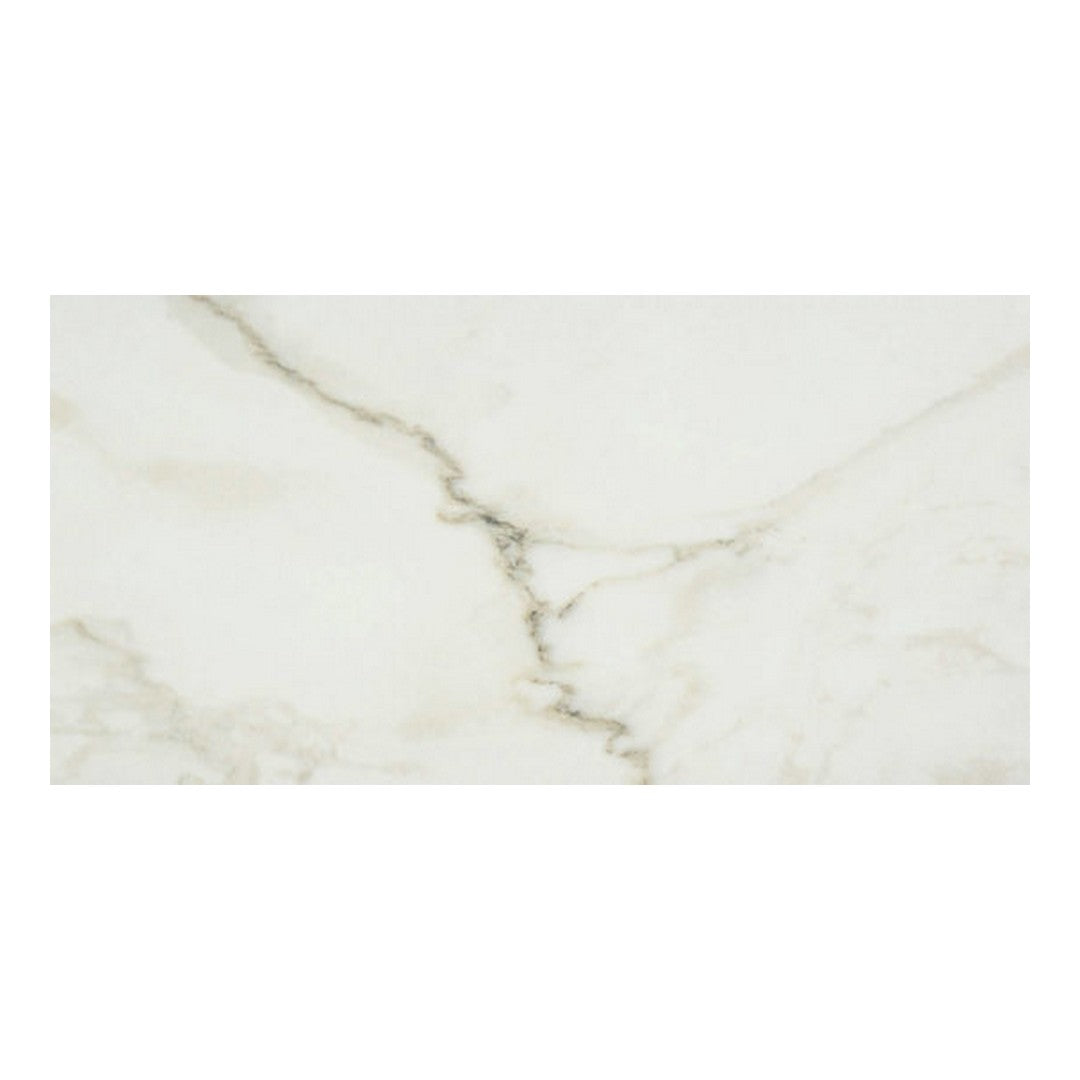 Qualis Ceramica 24" x 48" Luxury Rectified Honed Porcelain Tile