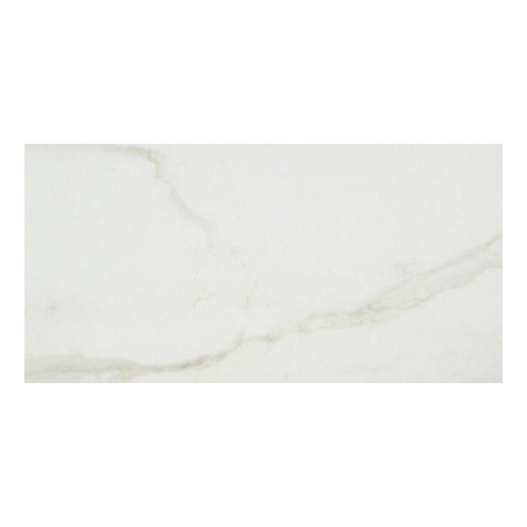Qualis Ceramica 24" x 48" Luxury Rectified Polished Porcelain Tile