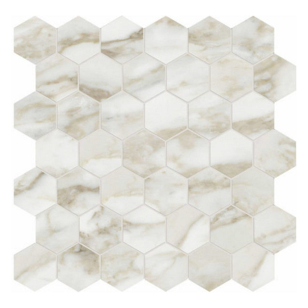 Qualis Ceramica 12" x 12" Luxury Rectified Honed Porcelain 2" Hexagon Tile