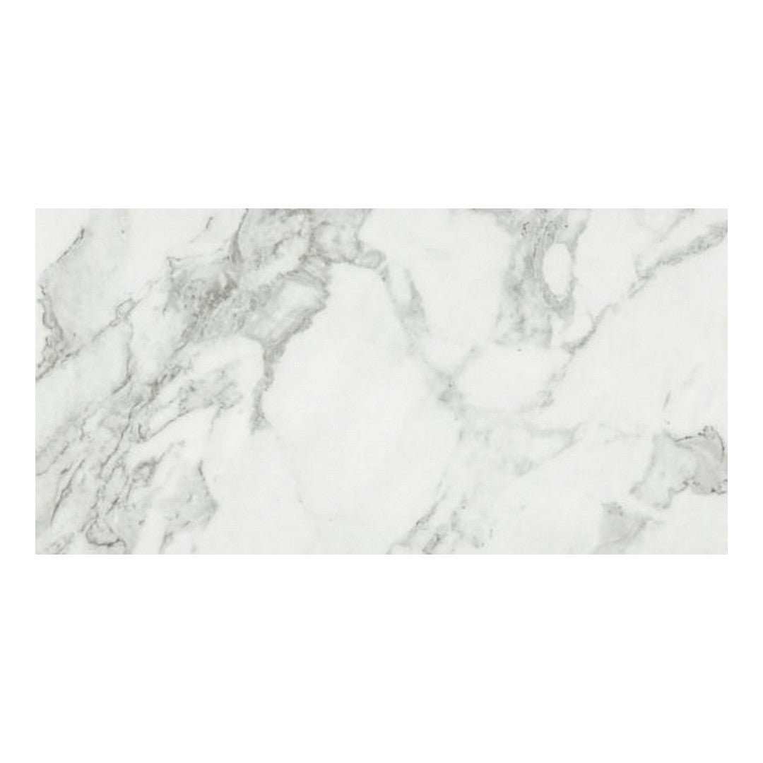 Qualis Ceramica 12" x 24" Luxury Rectified Honed Porcelain Tile