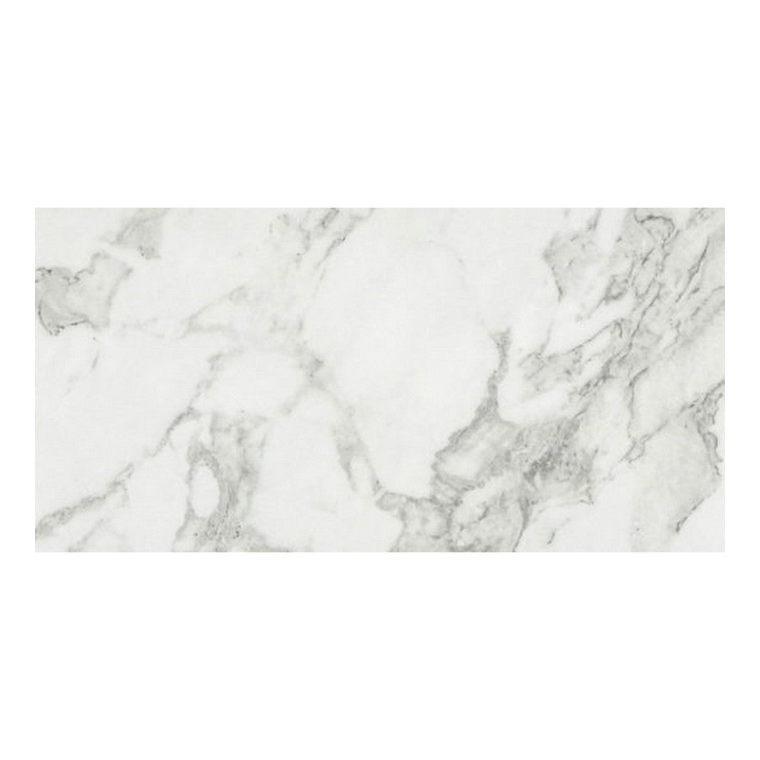Qualis Ceramica 24" x 48" Luxury Rectified Honed Porcelain Tile