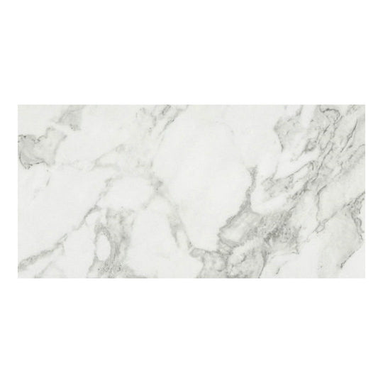 Qualis Ceramica 24" x 48" Luxury Rectified Honed Porcelain Tile
