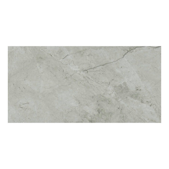 Qualis Ceramica 24" x 48" Luxury Rectified Honed Porcelain Tile