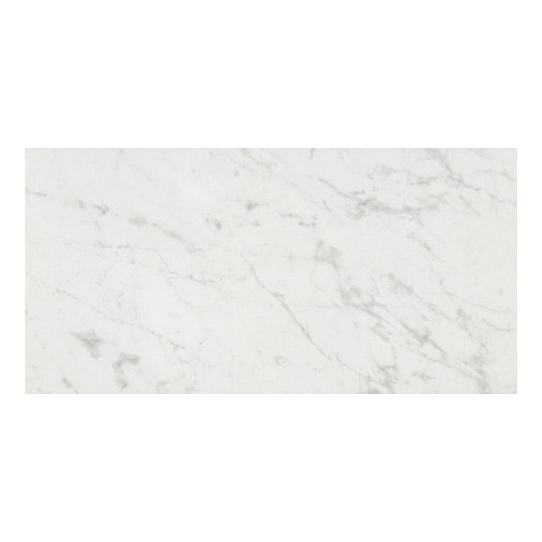 Qualis Ceramica 12" x 24" Luxury Rectified Honed Porcelain Tile