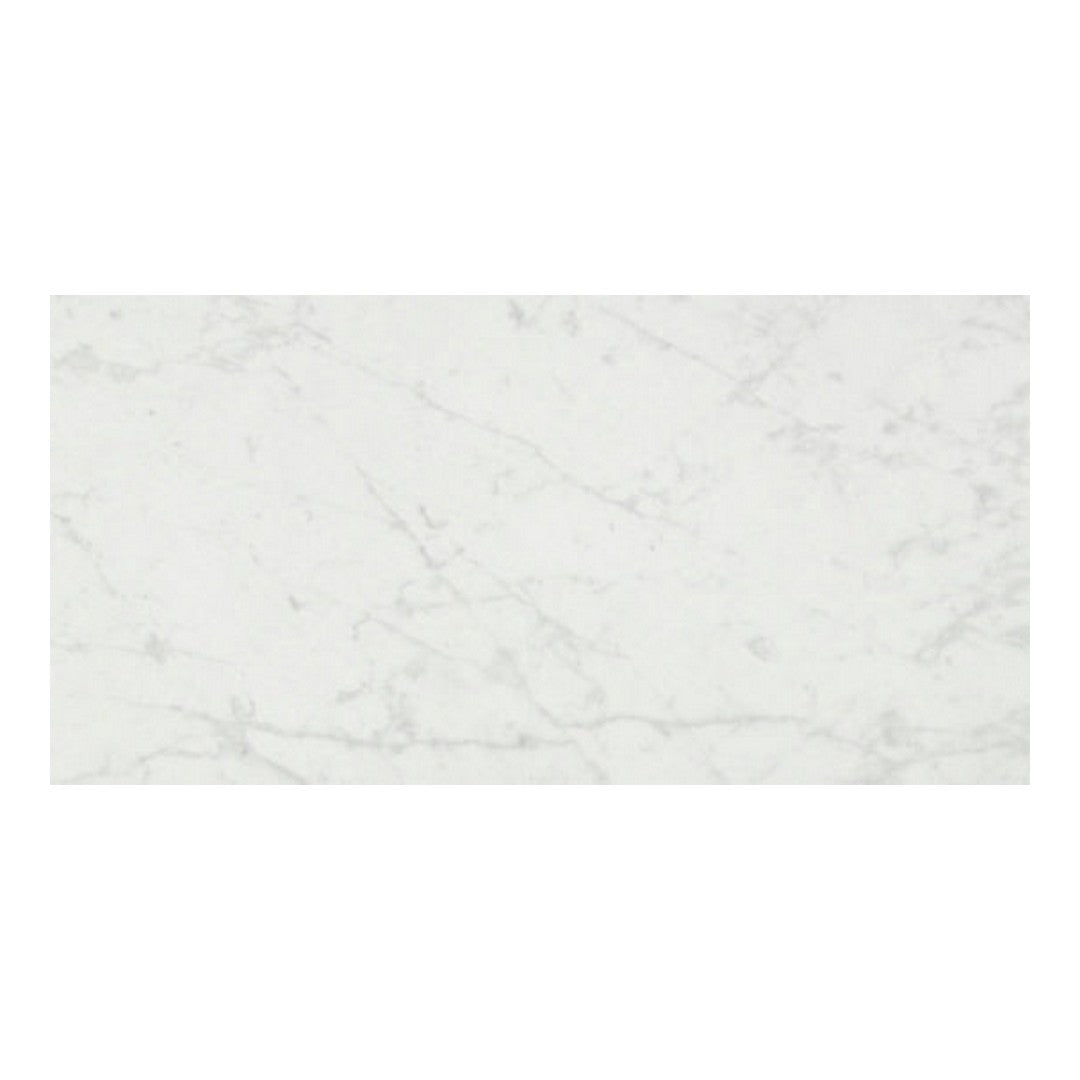 Qualis Ceramica 24" x 48" Luxury Rectified Honed Porcelain Tile