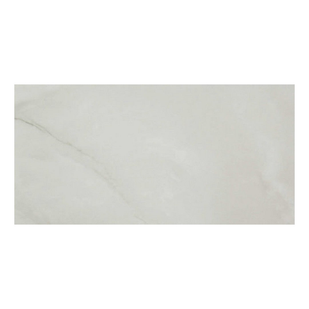 Qualis Ceramica 24" x 48" Luxury Rectified Honed Porcelain Tile