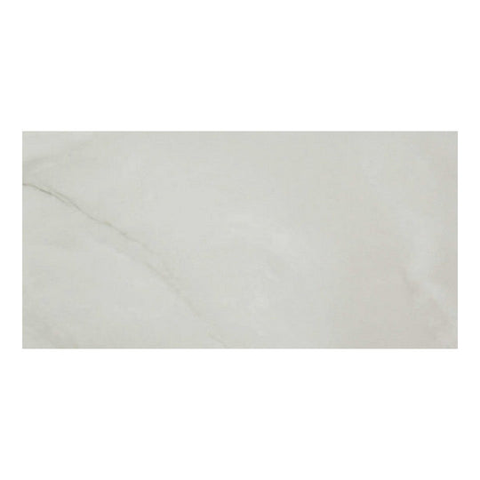 Qualis Ceramica 24" x 48" Luxury Rectified Honed Porcelain Tile
