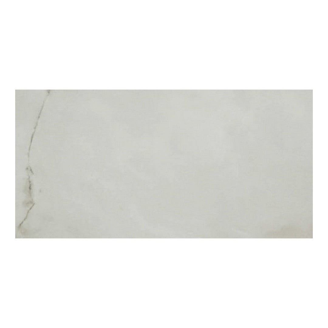 Qualis Ceramica 24" x 48" Luxury Rectified Polished Porcelain Tile