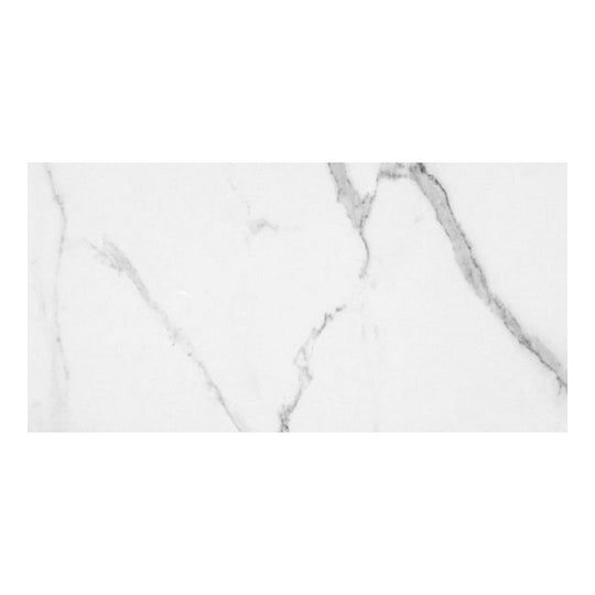 Qualis Ceramica 24" x 48" Luxury Rectified Honed Porcelain Tile