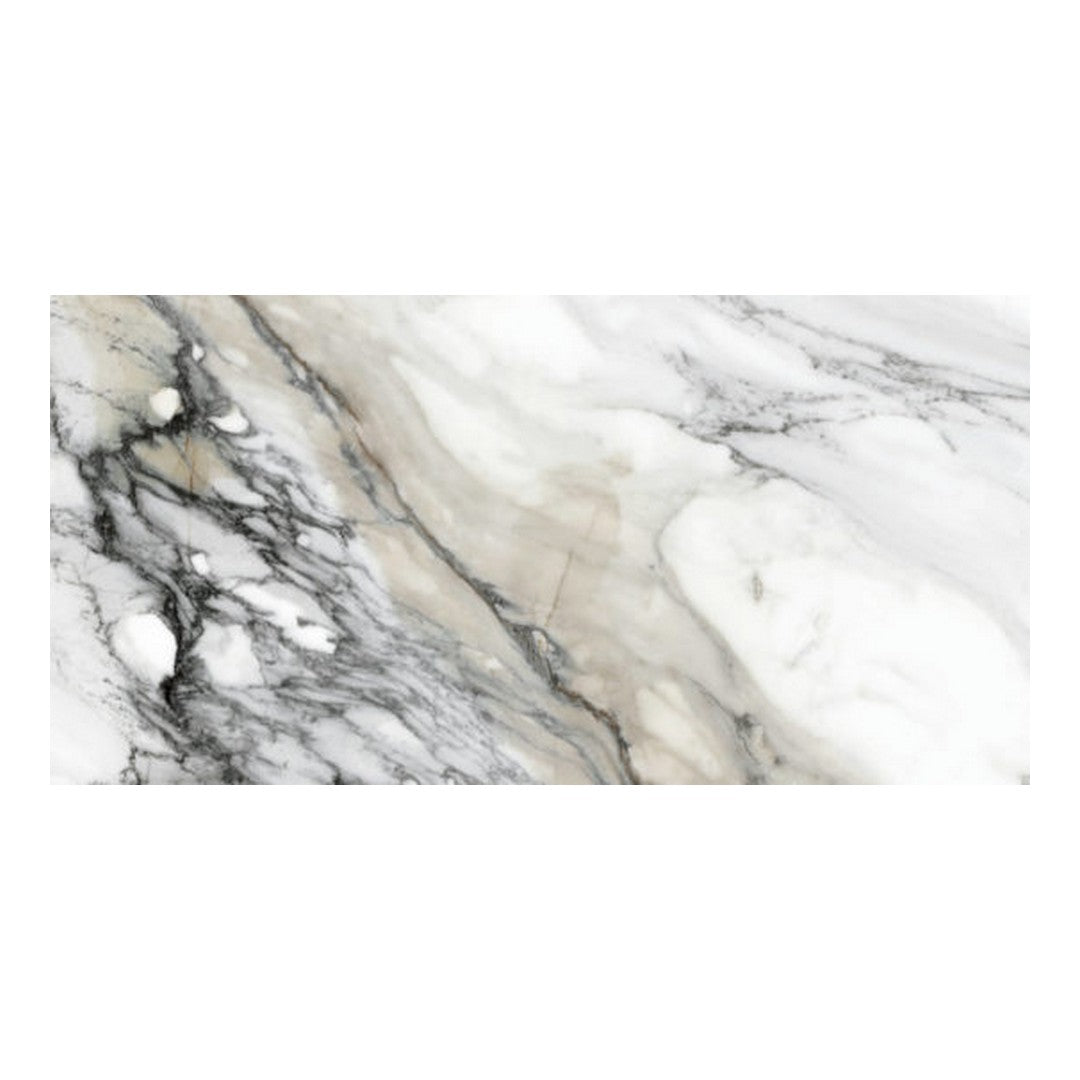 Qualis Ceramica 24" x 48" Mystique Rectified Matte Porcelain Tile