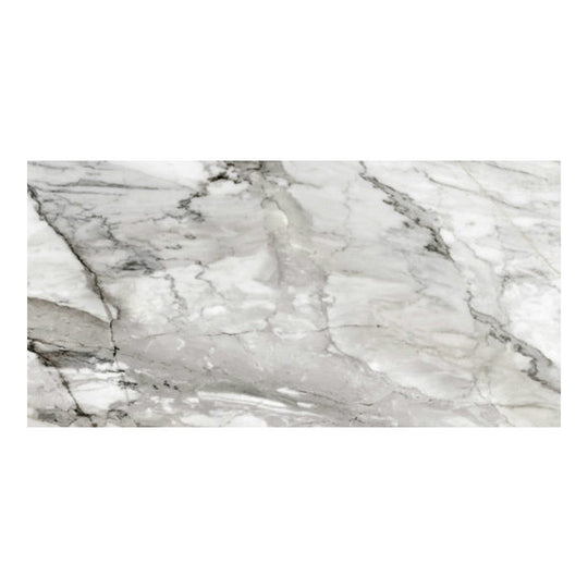 Qualis Ceramica 24" x 48" Mystique Rectified Polished Porcelain Tile