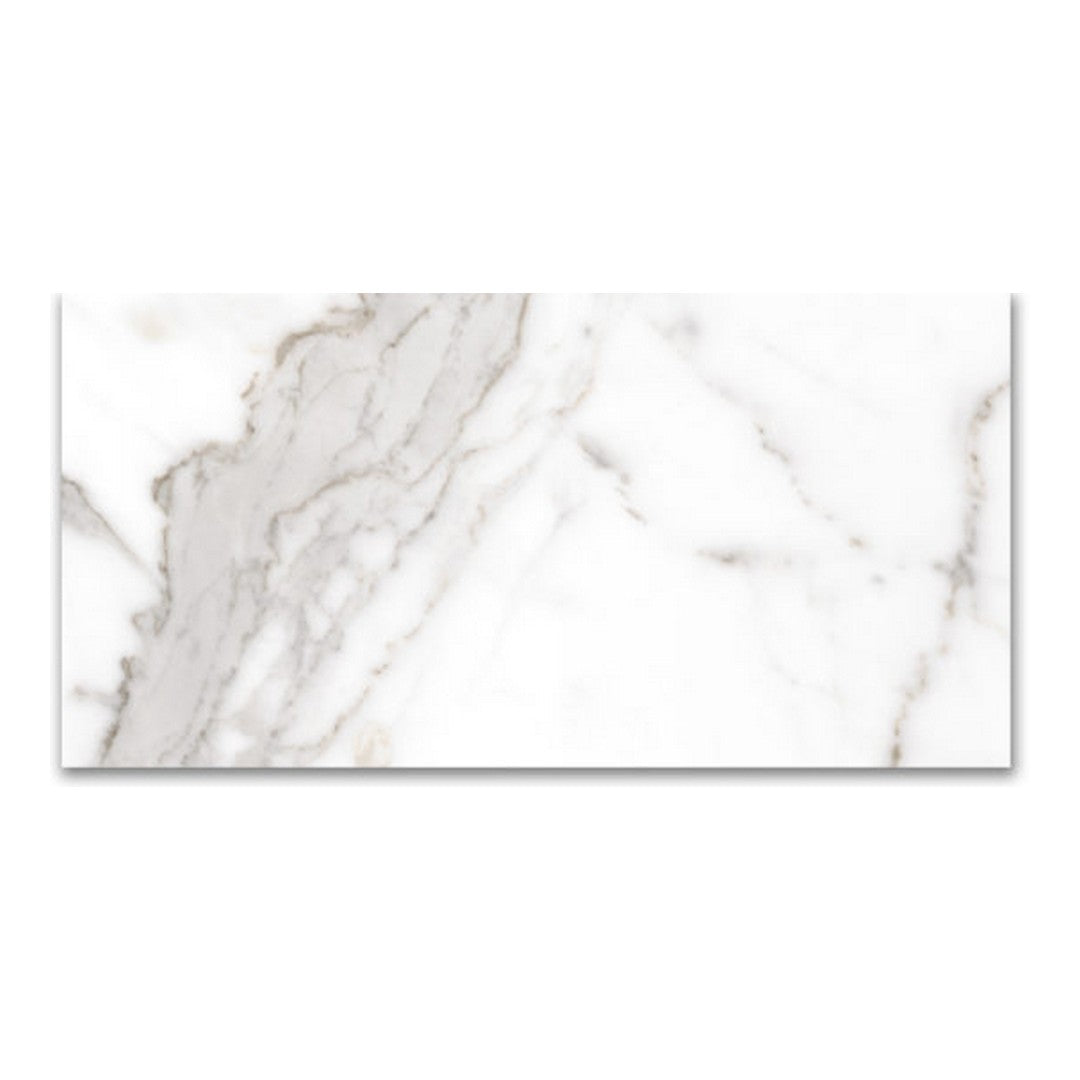 Qualis Ceramica 12" x 24" Mystique Rectified Polished Porcelain Tile