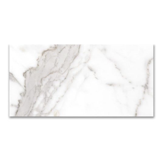 Qualis Ceramica 12" x 24" Mystique Rectified Polished Porcelain Tile