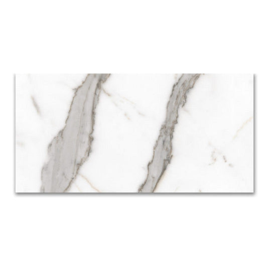 Qualis Ceramica 24" x 48" Mystique Rectified Matte Porcelain Tile