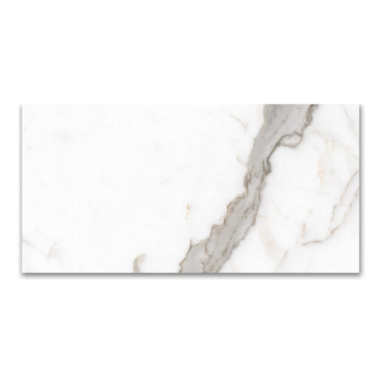 Qualis Ceramica 24" x 48" Mystique Rectified Polished Porcelain Tile