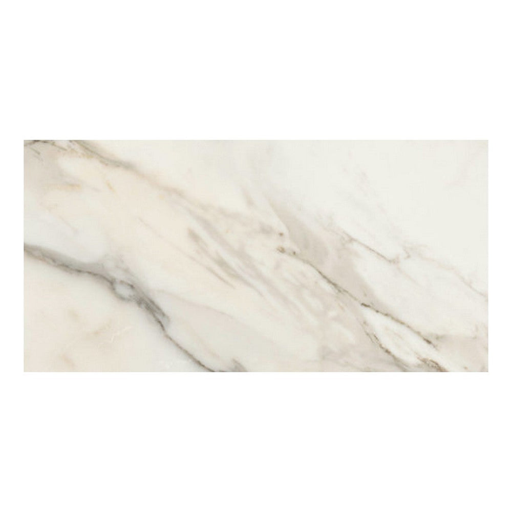 Qualis Ceramica 12" x 24" Mystique Rectified Matte Porcelain Tile