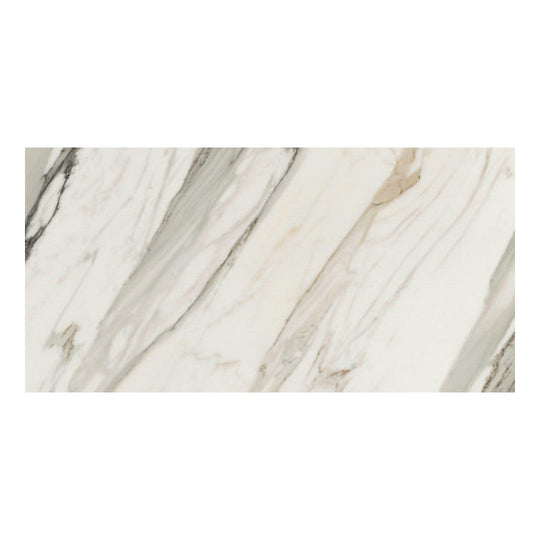 Qualis Ceramica 24" x 48" Mystique Rectified Matte Porcelain Tile
