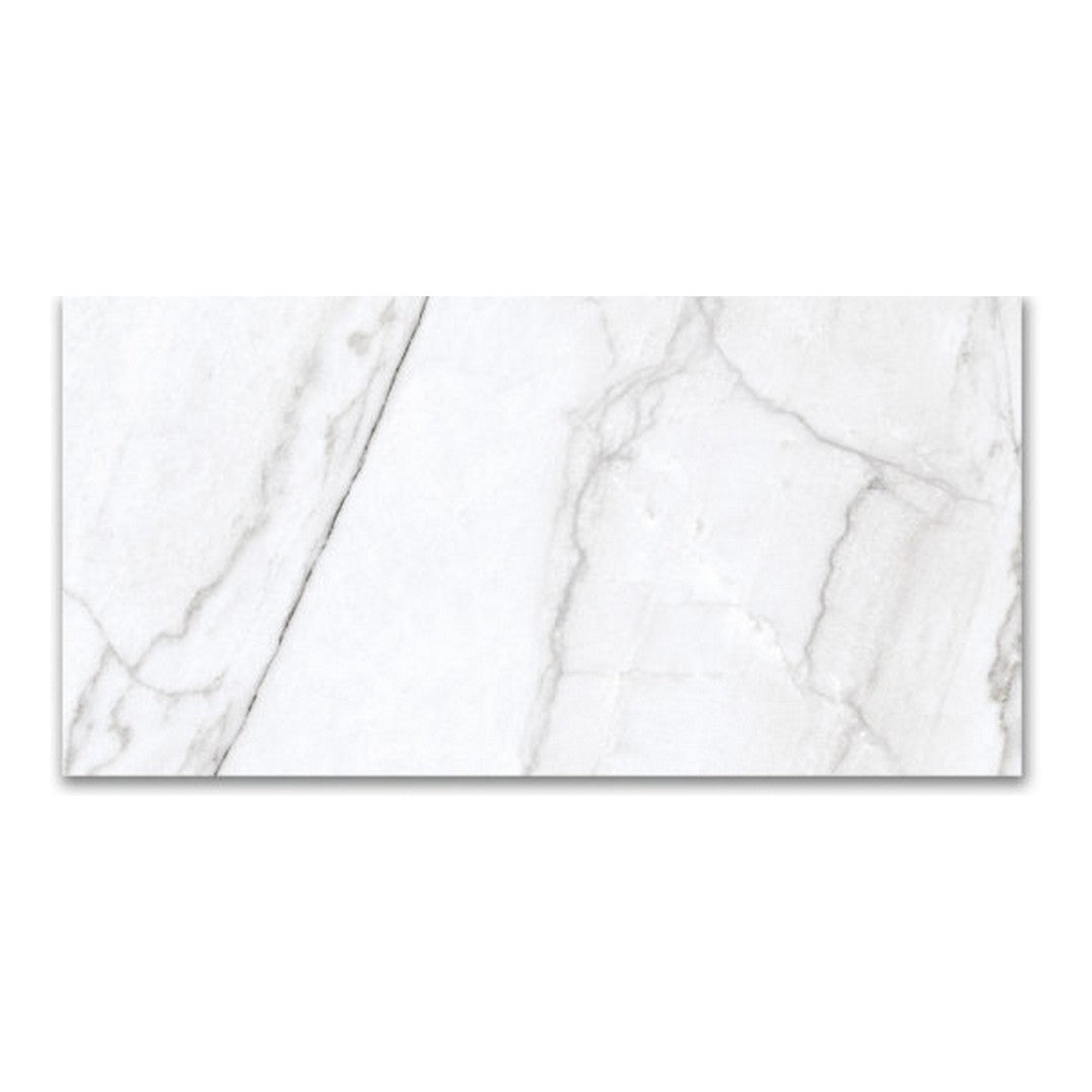Qualis Ceramica 12" x 24" Mystique Rectified Matte Porcelain Tile