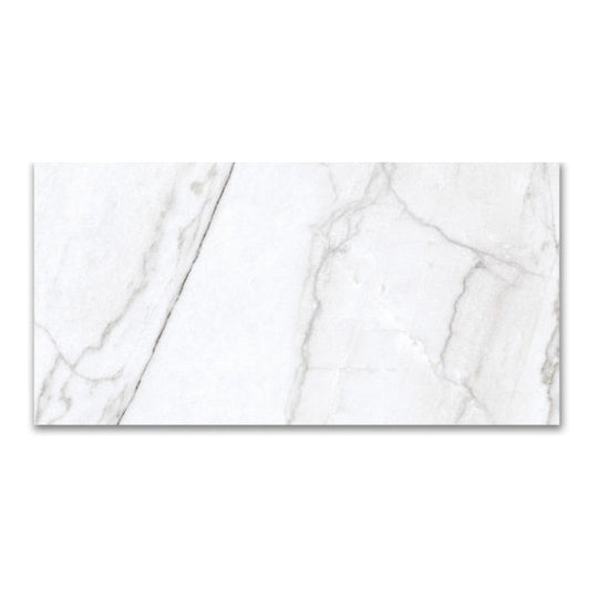 Qualis Ceramica 12" x 24" Mystique Rectified Matte Porcelain Tile
