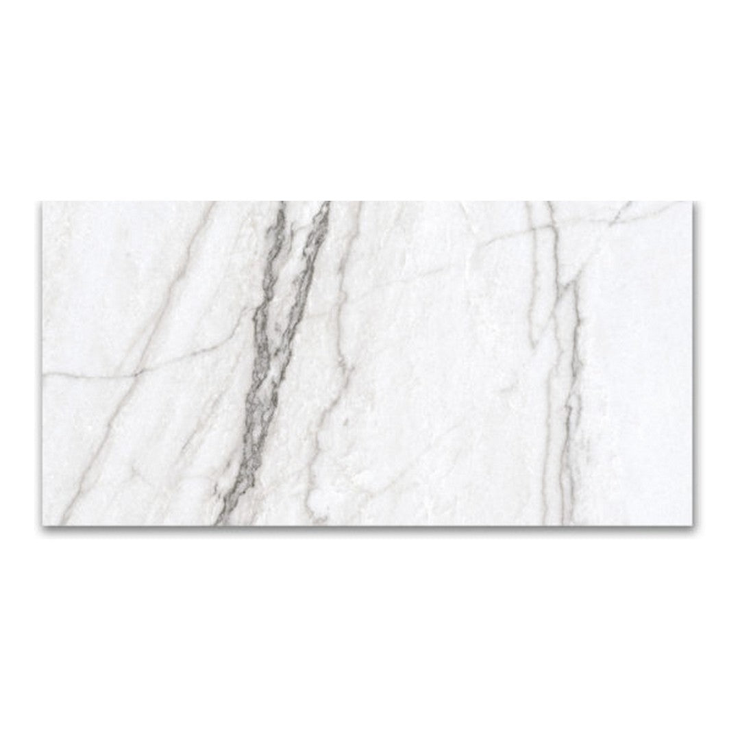 Qualis Ceramica 12" x 24" Mystique Rectified Polished Porcelain Tile