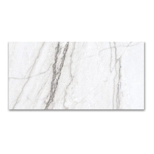 Qualis Ceramica 12" x 24" Mystique Rectified Polished Porcelain Tile