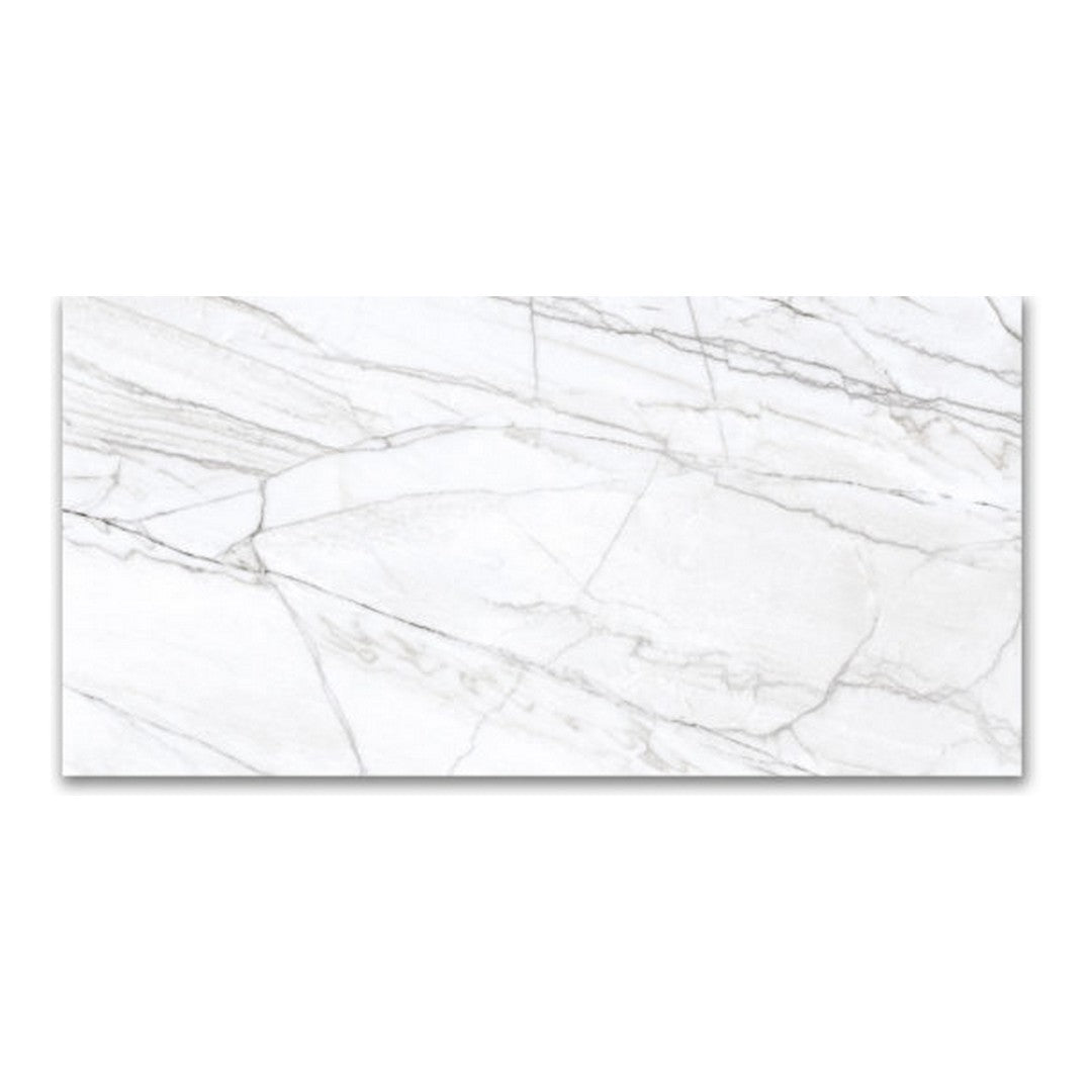 Qualis Ceramica 24" x 48" Mystique Rectified Matte Porcelain Tile