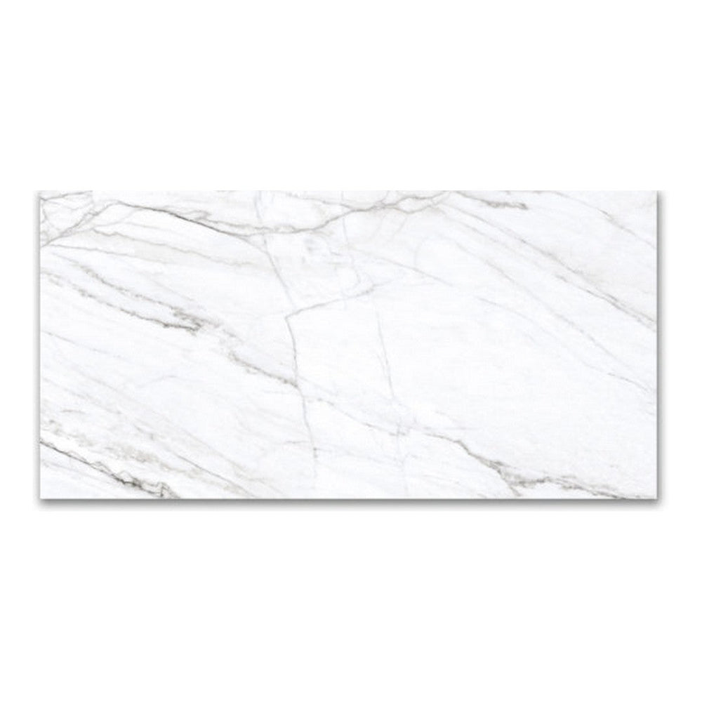 Qualis Ceramica 24" x 48" Mystique Rectified Polished Porcelain Tile